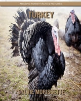 Turkey: Amazing Turkey Facts & Pictures 1703688880 Book Cover