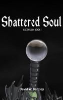 Shattered Soul 1492361313 Book Cover