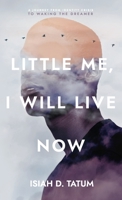 Little Me, I Will Live Now: A Journey From Identity Crisis to Waking the Dreamer 1640857192 Book Cover