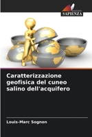 Caratterizzazione geofisica del cuneo salino dell'acquifero 6205918927 Book Cover