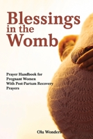 Blessings in the Womb: A Prayer Handbook for Pregnant Women With Post-Partum Recovery Prayers B0C9SGWTX1 Book Cover