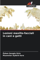 Lesioni maxillo-facciali in cani e gatti 6206024954 Book Cover