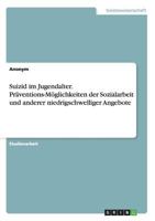 Suizid im Jugendalter. Präventions-Möglichkeiten der Sozialarbeit und anderer niedrigschwelliger Angebote 3656756481 Book Cover