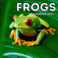 Frogs Calendar 2021: 16-Month Calendar, Cute Gift Idea For Frog Lovers Women & Men B093WBR92B Book Cover