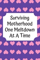 Surviving Motherhood One Meltdown At A Time: Baby's Daily Log Book To Track & Record Sleep, Breastfeeding, Diapers of Newborn Babies: Perfect Gift For New Mothers & Nannies 169720239X Book Cover