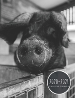 2020-2021 Two Year Planner: Black & White Pig Planner January 1, 2020 to December 31, 2021 Weekly & Monthly Planner + Calendar Views 2 Year Calendar 24 Month Agenda Planner Gift For Pig Lovers 1679116738 Book Cover