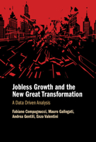 Jobless Growth and the New Great Transformation: A Data Driven Analysis 100970009X Book Cover