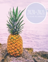 2020-2021 2 Year Planner: January 1, 2020 to December 31, 2021 Weekly & Monthly Planner + Calendar Views 2 Year Calendar 24 Month Agenda Planner Sunset Pineapple 1671741188 Book Cover