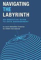 Navigating the Labyrinth: An Executive Guide to Data Management 1634623754 Book Cover