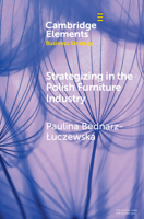 Strategizing in the Polish Furniture Industry 1009095463 Book Cover