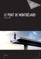 Le Pont de Montbéliard (French Edition) 2748362640 Book Cover