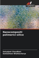 Nanocompositi polimerici-silice (Italian Edition) 6209353940 Book Cover