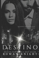 Destino: Quando Encontramos a Alma G�mea 1087800498 Book Cover