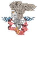 Adler USA Amerika: Wochenplaner Januar bis Dezember 2020 - 1 Woche auf einen Blick - DIN A5 Monatsplaner Jahresplaner Jahr Terminplaner Checklisten & Notizen Vereinigte Staaten von Amerika Independenc 1678511838 Book Cover