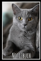Notizbuch: Planer mit Katze f�r deine Notizen. 120 Seiten mit Karos und gl�nzendem Softcover 1702567834 Book Cover