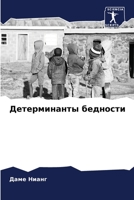 Детерминанты бедности 6204431846 Book Cover