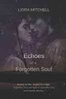 Echoes of a Forgotten Soul: Threads of Immortal Fate Series B0DSBMC1KY Book Cover