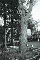 Icons 1387920588 Book Cover