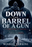 Down the Barrel of a Gun B0H93JWDXQ Book Cover