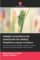 MANEJO ECOLÓGICO DO GORGULHO DO ARROZ, Sitophilus oryzae Linnaeus (Portuguese Edition) 6208255511 Book Cover