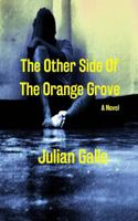 The Other Side Of The Orange Grove 1720643881 Book Cover