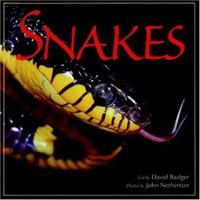 Snakes (Wildlife) 0785828427 Book Cover