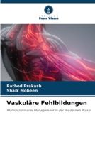 Vaskuläre Fehlbildungen (German Edition) 6209987761 Book Cover