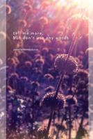 Tell Me More, But Don't Use Any Words 1105859932 Book Cover
