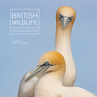 British Wildlife Photography Awards 10 1781453756 Book Cover