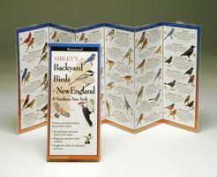 Sibley's Backyard Birds of New England & Northern New York 1935380087 Book Cover