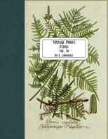 Vintage Prints: Ferns: Vol. 10 1724938479 Book Cover