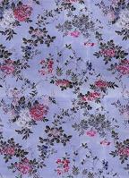 Amours De Voyage 1438532350 Book Cover