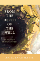 From the Depth of the Well: An Anthology of Jewish Mysticism 080914879X Book Cover
