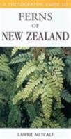 A Photographic Guide to Ferns of New Zealand (Photographic Guide) 1877246948 Book Cover