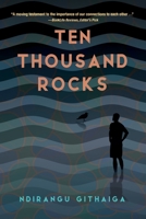 Ten Thousand Rocks 1735041726 Book Cover