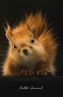 Bullet Journal: Squirrel Bullet Journal, Great for Note Taking, Journalling, Makes an Ideal Gift for those who Love Squirrels 1673772358 Book Cover