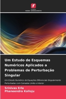 Um Estudo de Esquemas Numéricos Aplicados a Problemas de Perturbação Singular (Portuguese Edition) 6208894425 Book Cover