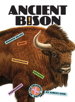 Ancient Bison 1628329653 Book Cover