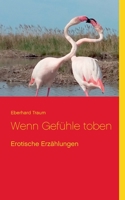 Wenn Gefühle toben: Erotische Erzählungen 3754307320 Book Cover