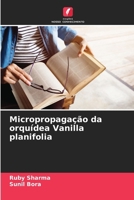 Micropropagação da orquídea Vanilla planifolia (Portuguese Edition) 6202397969 Book Cover
