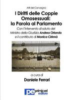 I Diritti delle Coppie Omosessuali: la Parola al Parlamento 8898212976 Book Cover