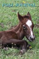 Foal Journal: Monitor the Progress During Your Foals Gestation Period or First Year of Life. 52 Weeks Daily Spaces and Room for Note 1717947476 Book Cover