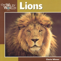 Lions (Our Wild World) 1559718064 Book Cover