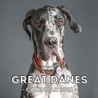 Great Danes: 2021 Wall Calendar, Cute Gift Idea For Great Dane Lovers Or Owners Men And Women B08QWX7ZMH Book Cover