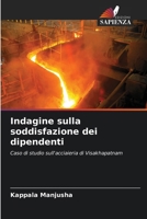 Indagine sulla soddisfazione dei dipendenti (Italian Edition) 6209766099 Book Cover