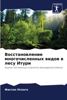 Восстановление многочи&# 6205763931 Book Cover