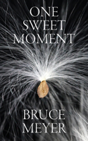One Sweet Moment 1771838299 Book Cover