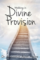 Walking in Divine Provision 0957577583 Book Cover