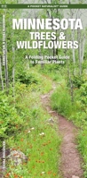 Minnesota Trees & Wildflowers: An Introduction to Familiar Species (Pocket Naturalist - Waterford Press) B005JEJULM Book Cover