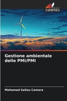 Gestione ambientale delle PMI/PMI (Italian Edition) 6209587488 Book Cover